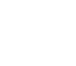 The Light Shade Studio